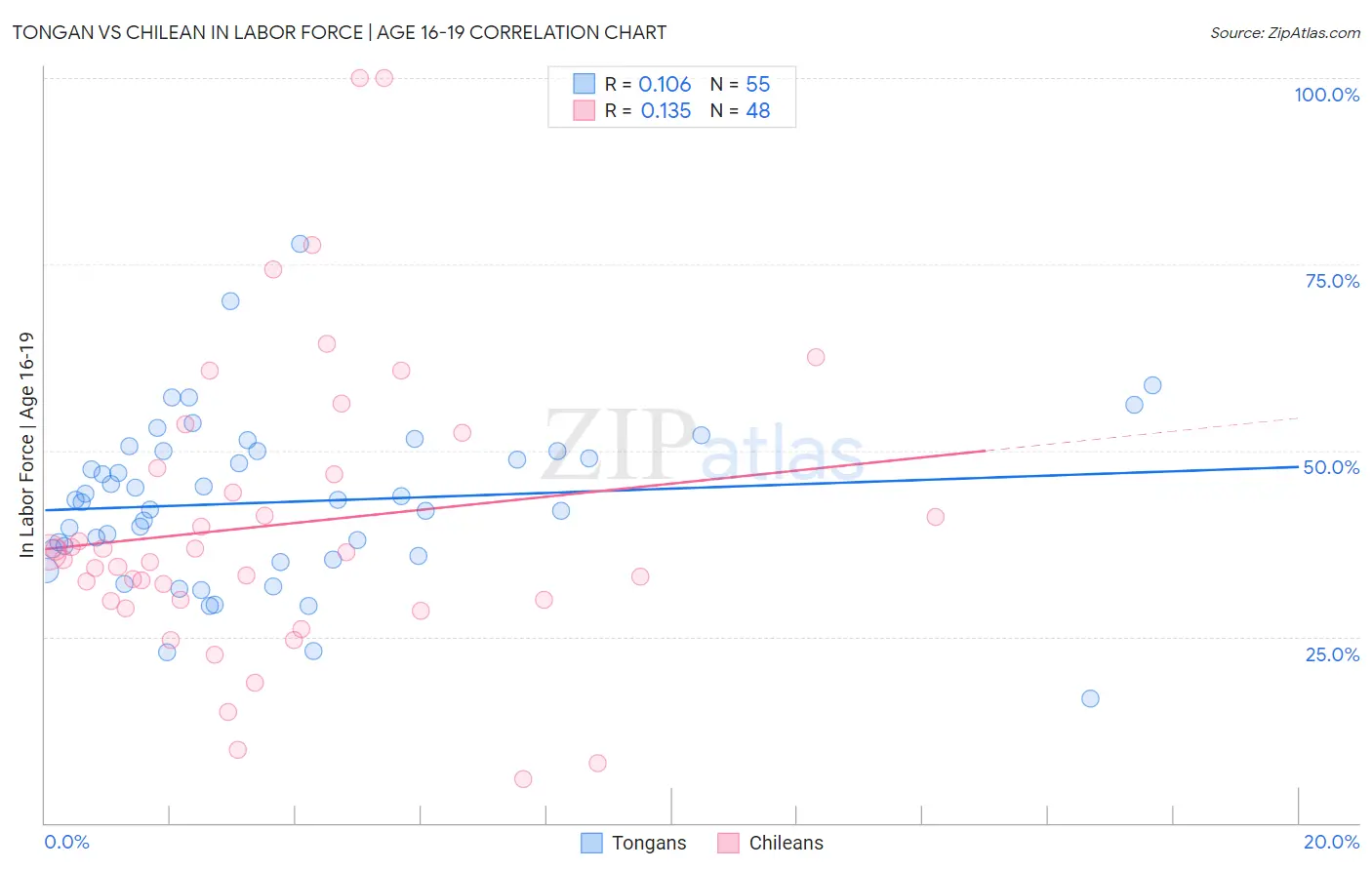 Tongan vs Chilean In Labor Force | Age 16-19