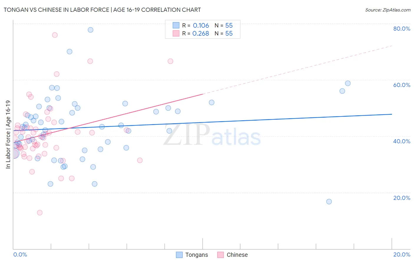 Tongan vs Chinese In Labor Force | Age 16-19