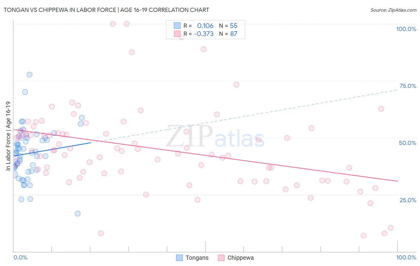 Tongan vs Chippewa In Labor Force | Age 16-19