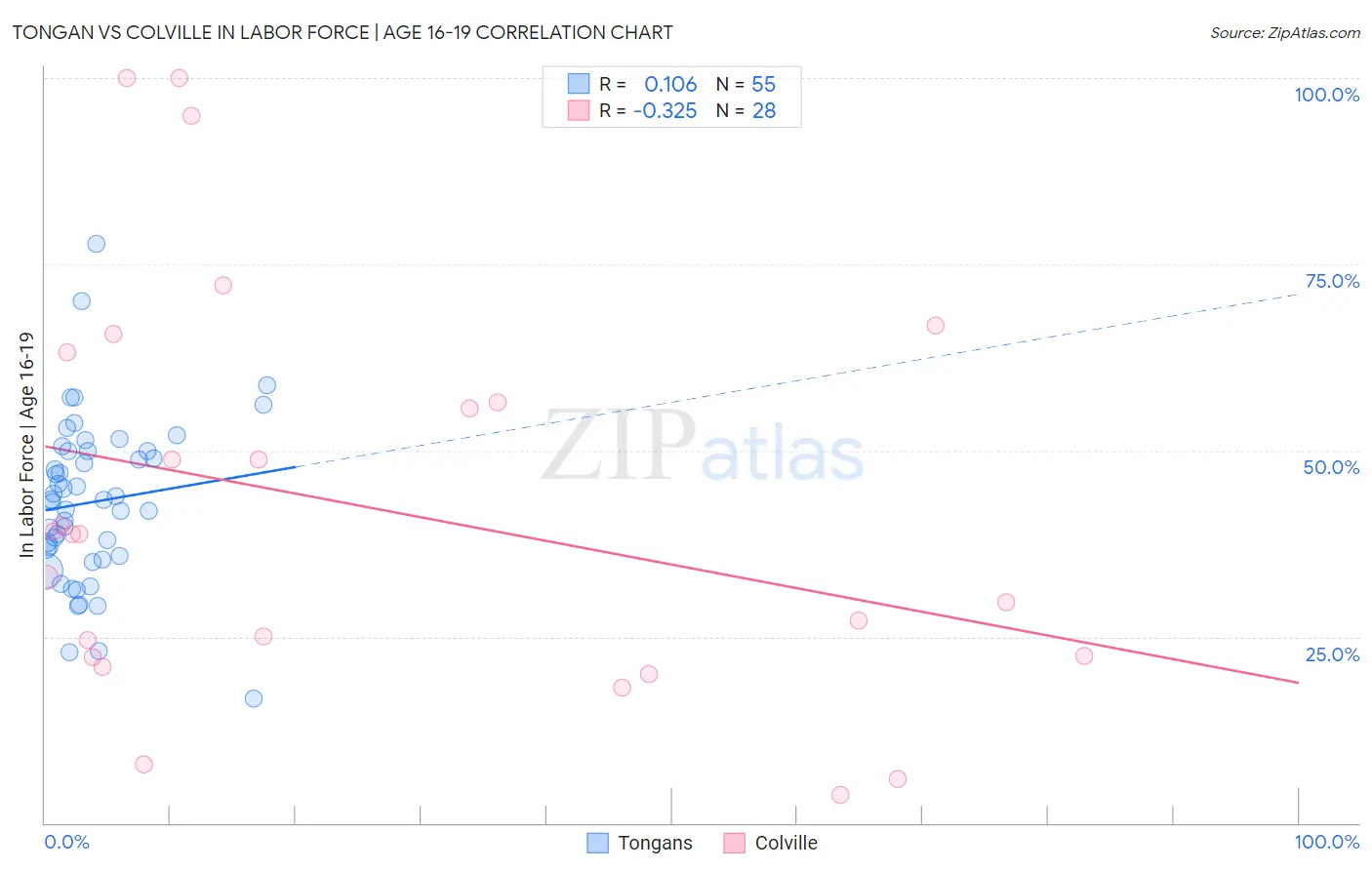 Tongan vs Colville In Labor Force | Age 16-19