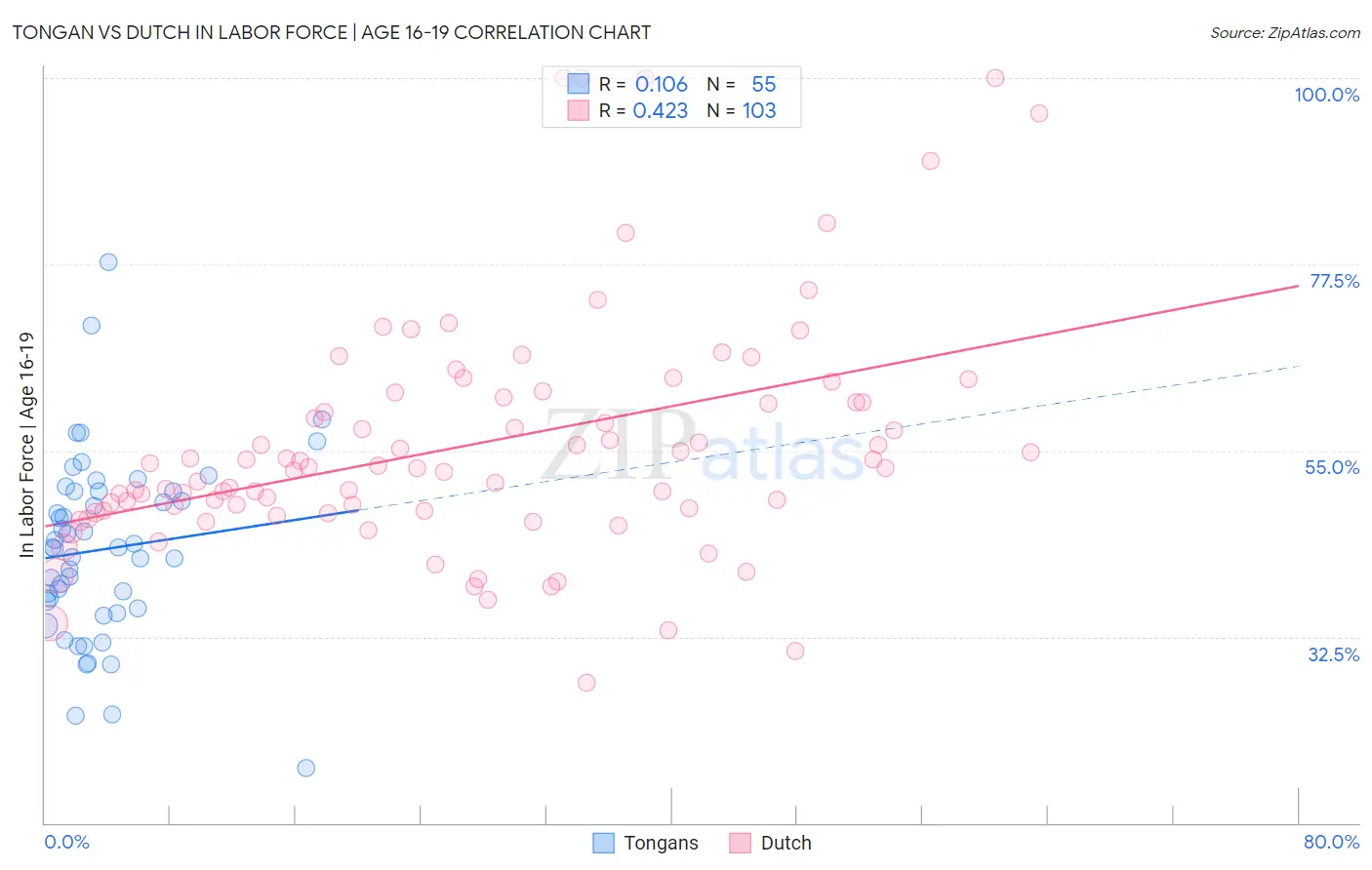 Tongan vs Dutch In Labor Force | Age 16-19