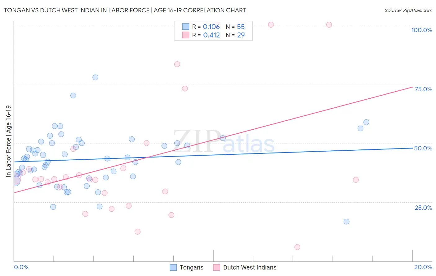 Tongan vs Dutch West Indian In Labor Force | Age 16-19