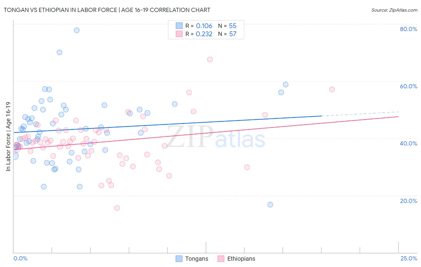Tongan vs Ethiopian In Labor Force | Age 16-19