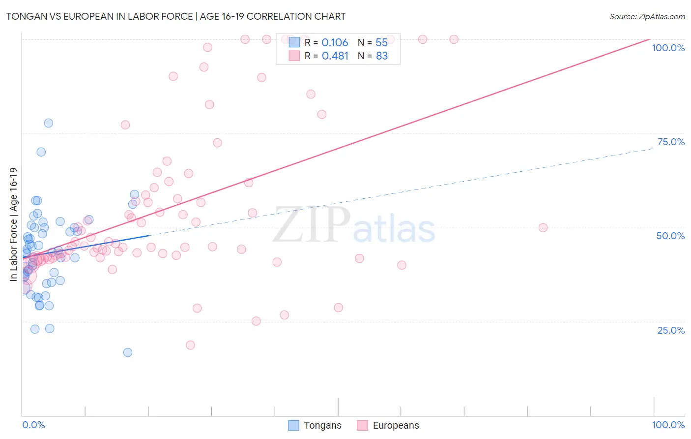 Tongan vs European In Labor Force | Age 16-19