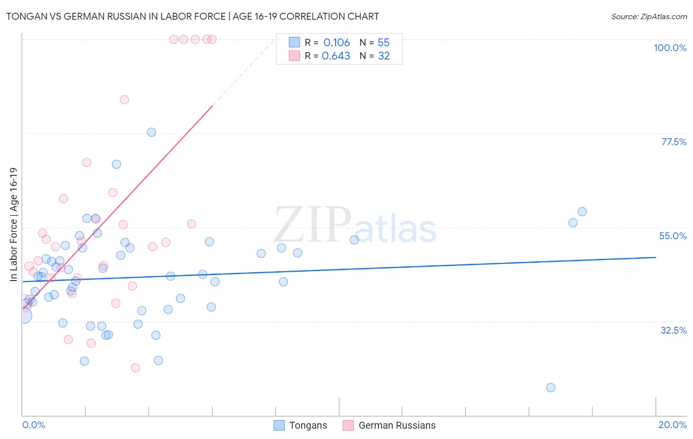 Tongan vs German Russian In Labor Force | Age 16-19