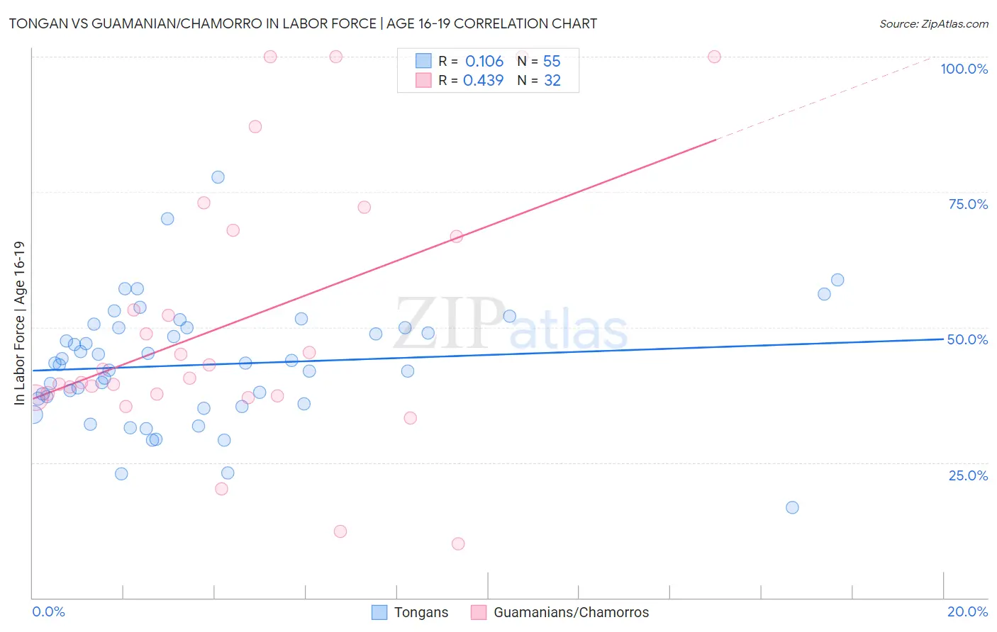 Tongan vs Guamanian/Chamorro In Labor Force | Age 16-19