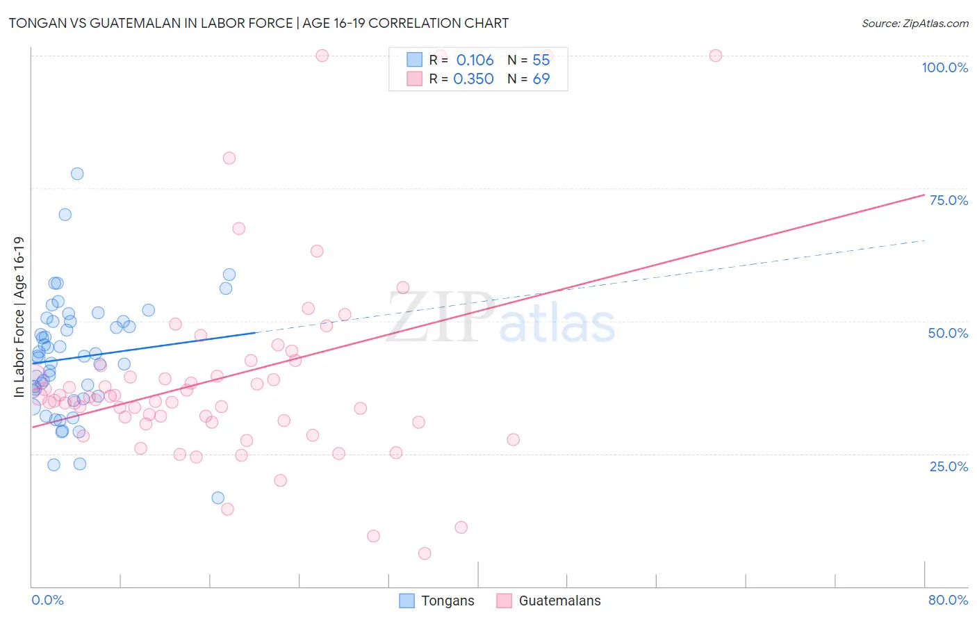 Tongan vs Guatemalan In Labor Force | Age 16-19