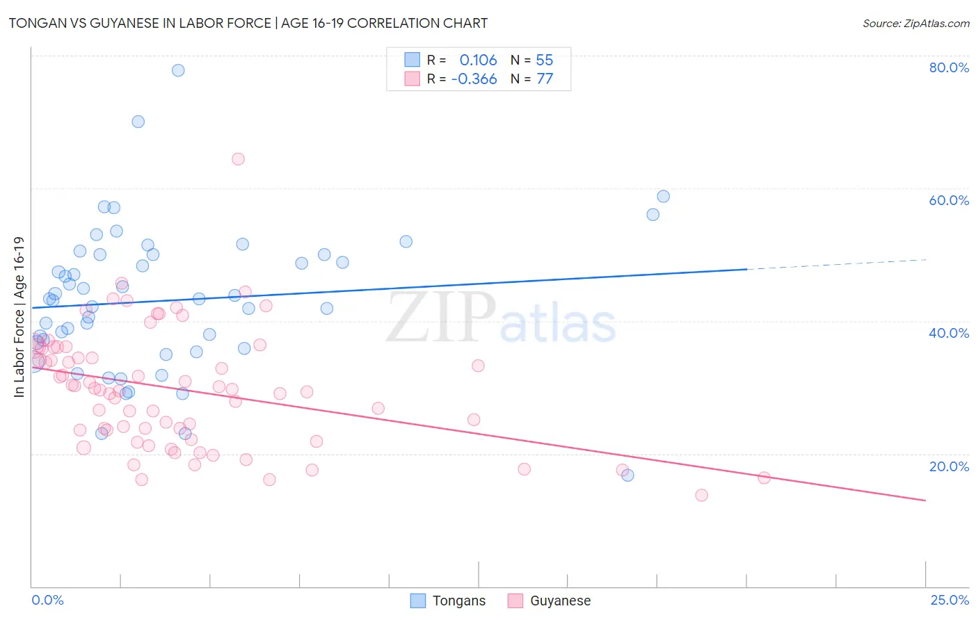 Tongan vs Guyanese In Labor Force | Age 16-19