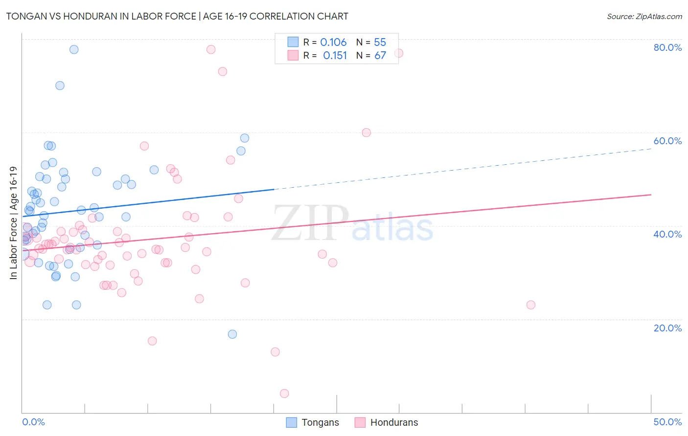 Tongan vs Honduran In Labor Force | Age 16-19