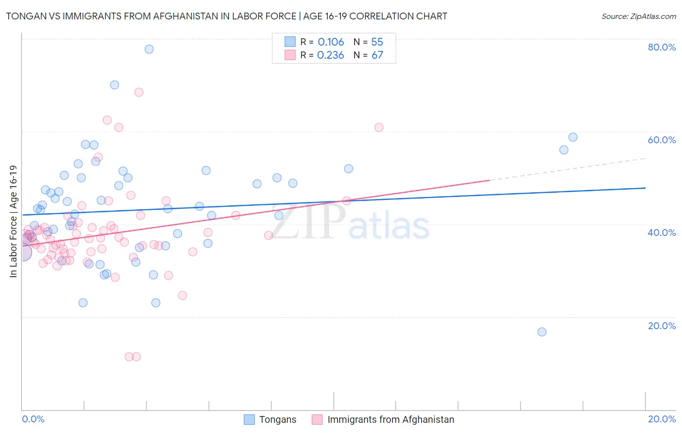 Tongan vs Immigrants from Afghanistan In Labor Force | Age 16-19