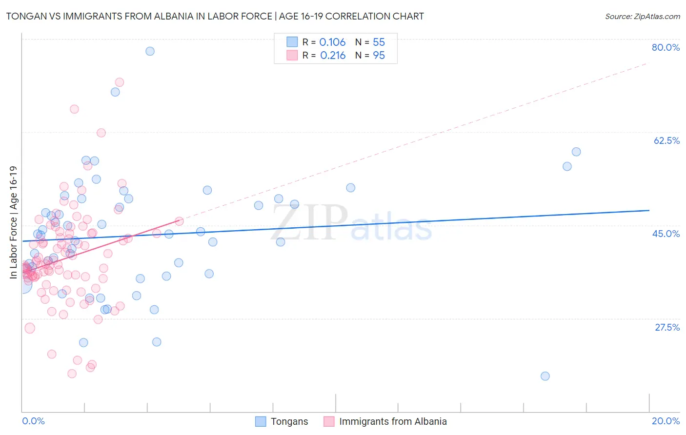 Tongan vs Immigrants from Albania In Labor Force | Age 16-19