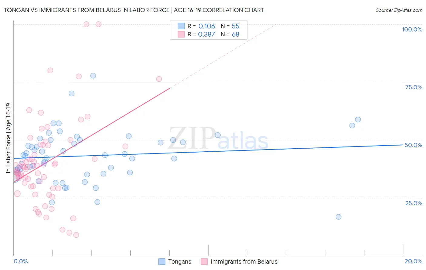 Tongan vs Immigrants from Belarus In Labor Force | Age 16-19