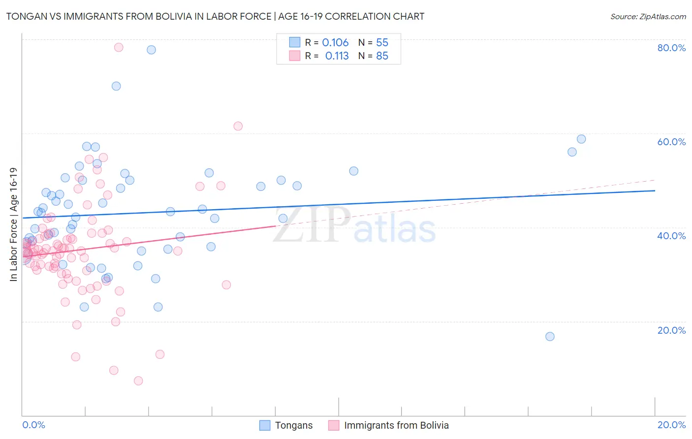 Tongan vs Immigrants from Bolivia In Labor Force | Age 16-19