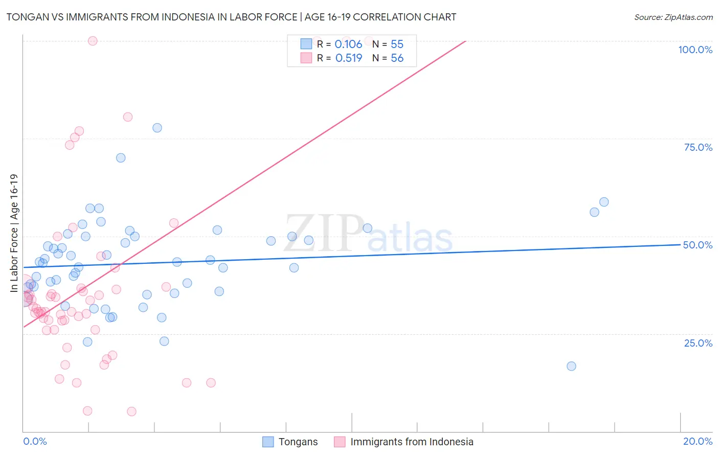 Tongan vs Immigrants from Indonesia In Labor Force | Age 16-19