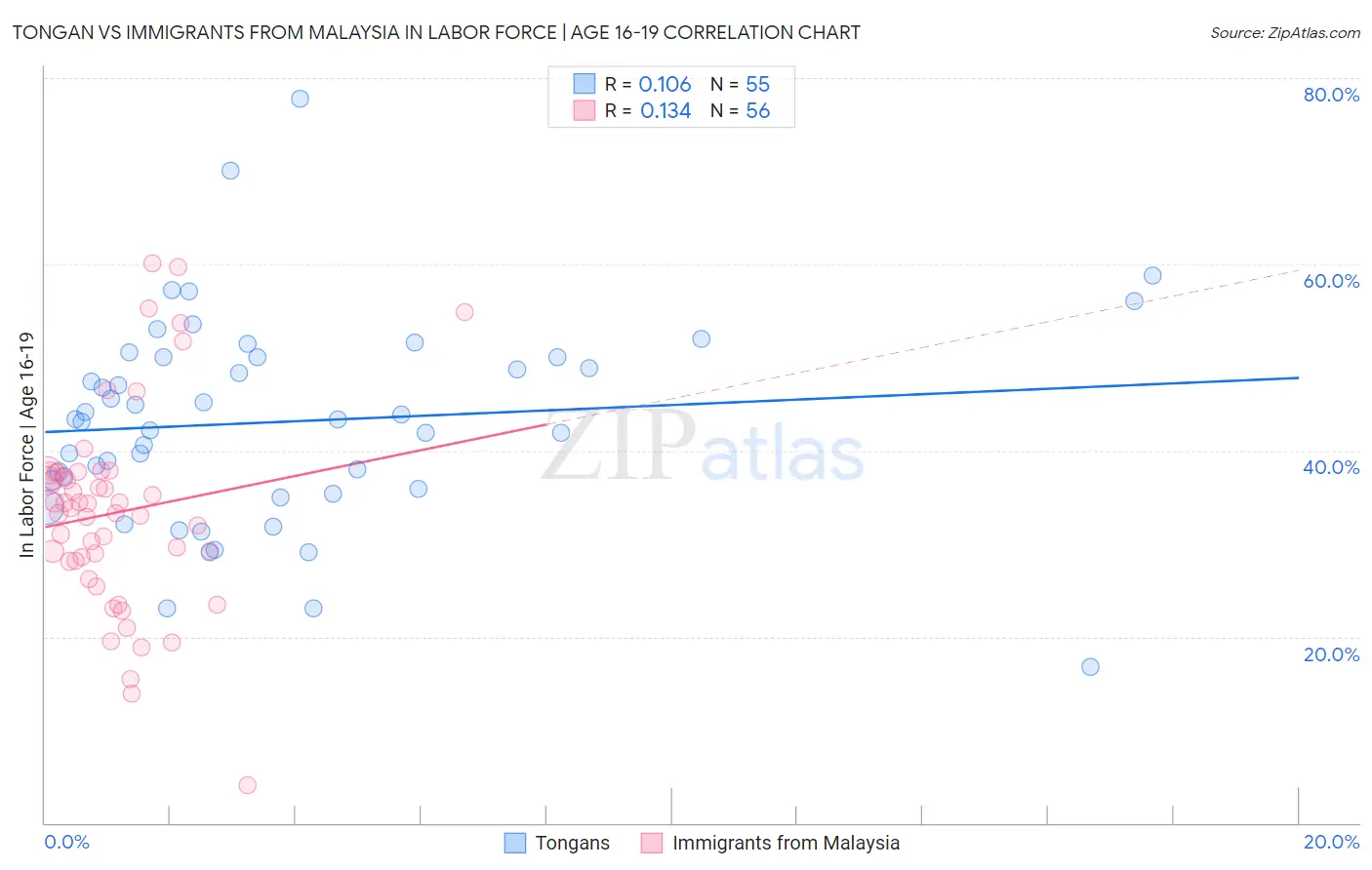 Tongan vs Immigrants from Malaysia In Labor Force | Age 16-19