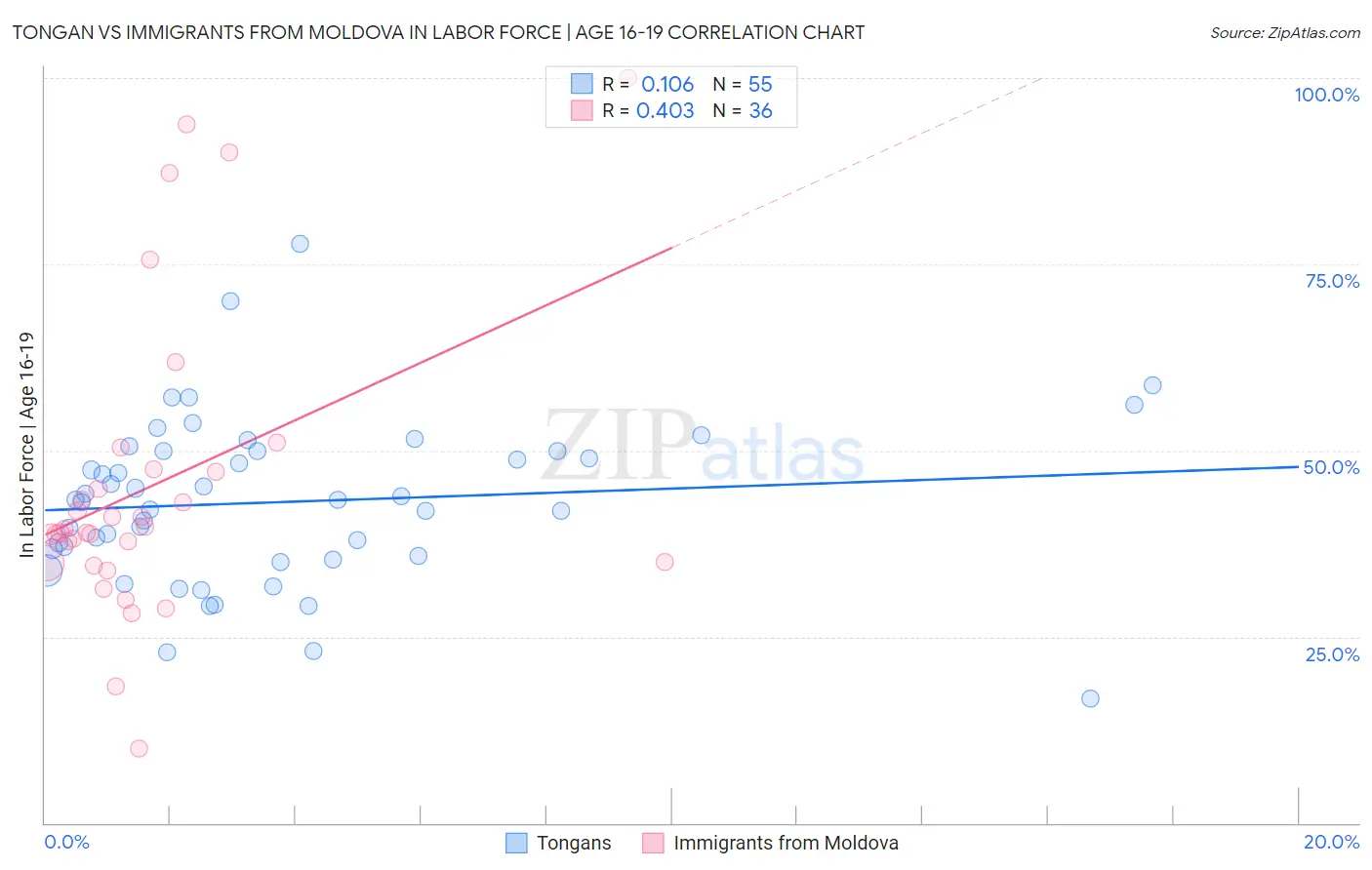 Tongan vs Immigrants from Moldova In Labor Force | Age 16-19