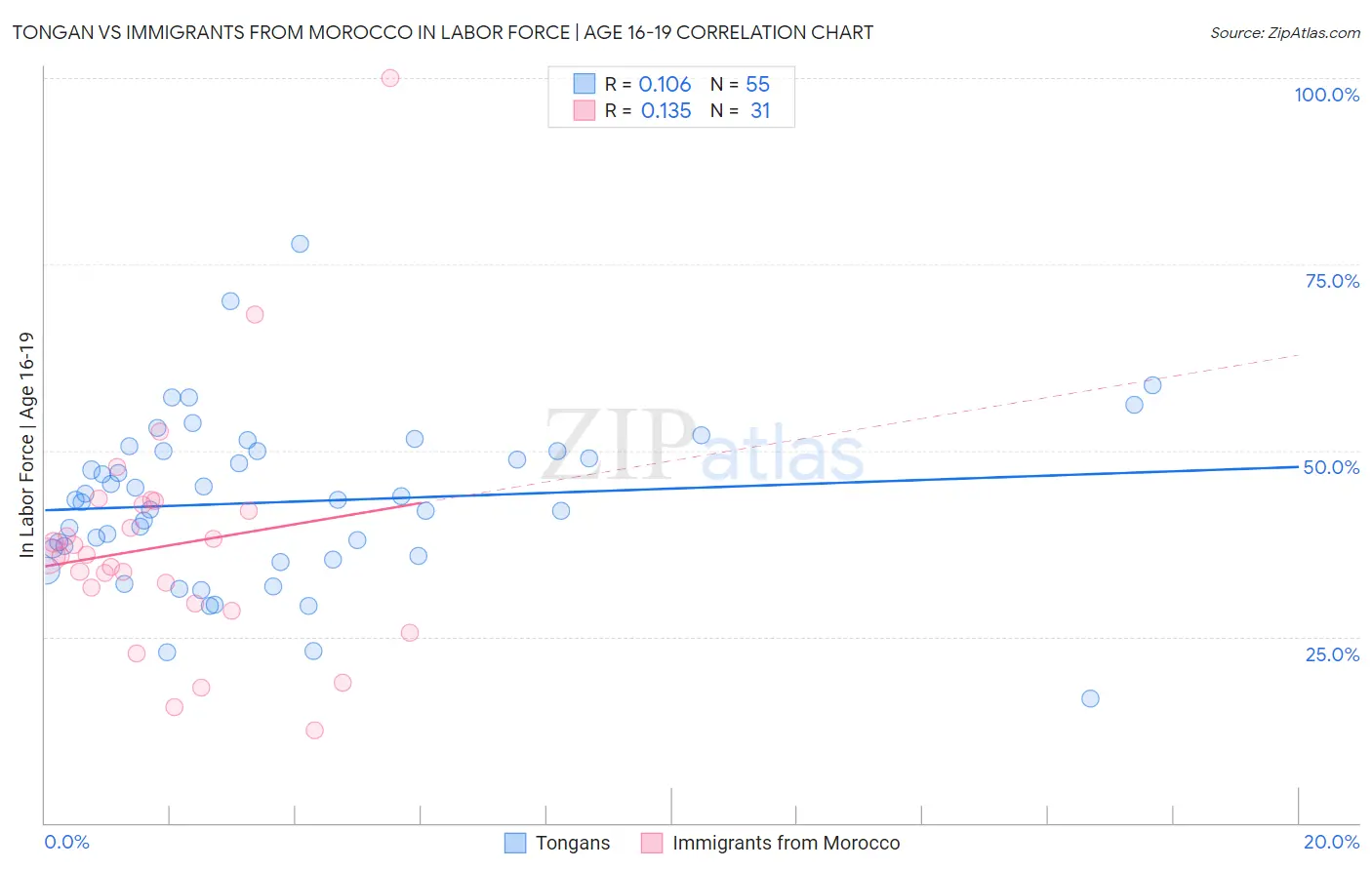 Tongan vs Immigrants from Morocco In Labor Force | Age 16-19