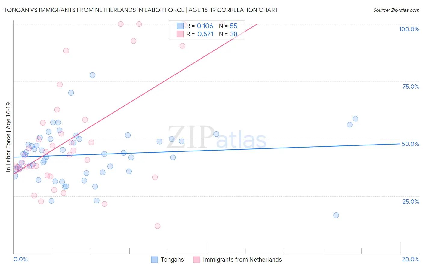 Tongan vs Immigrants from Netherlands In Labor Force | Age 16-19