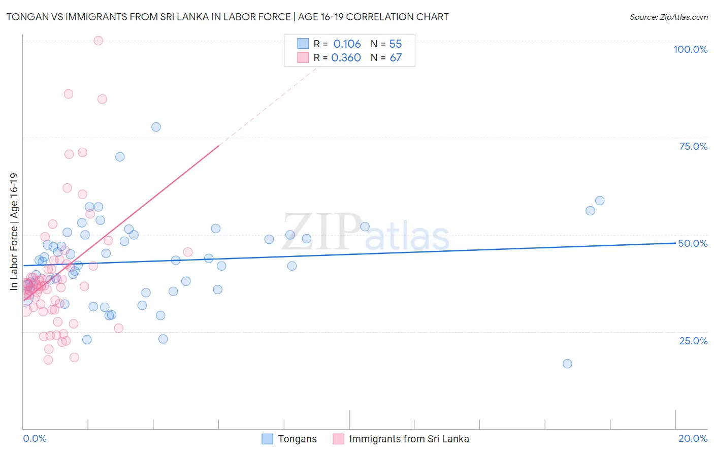 Tongan vs Immigrants from Sri Lanka In Labor Force | Age 16-19