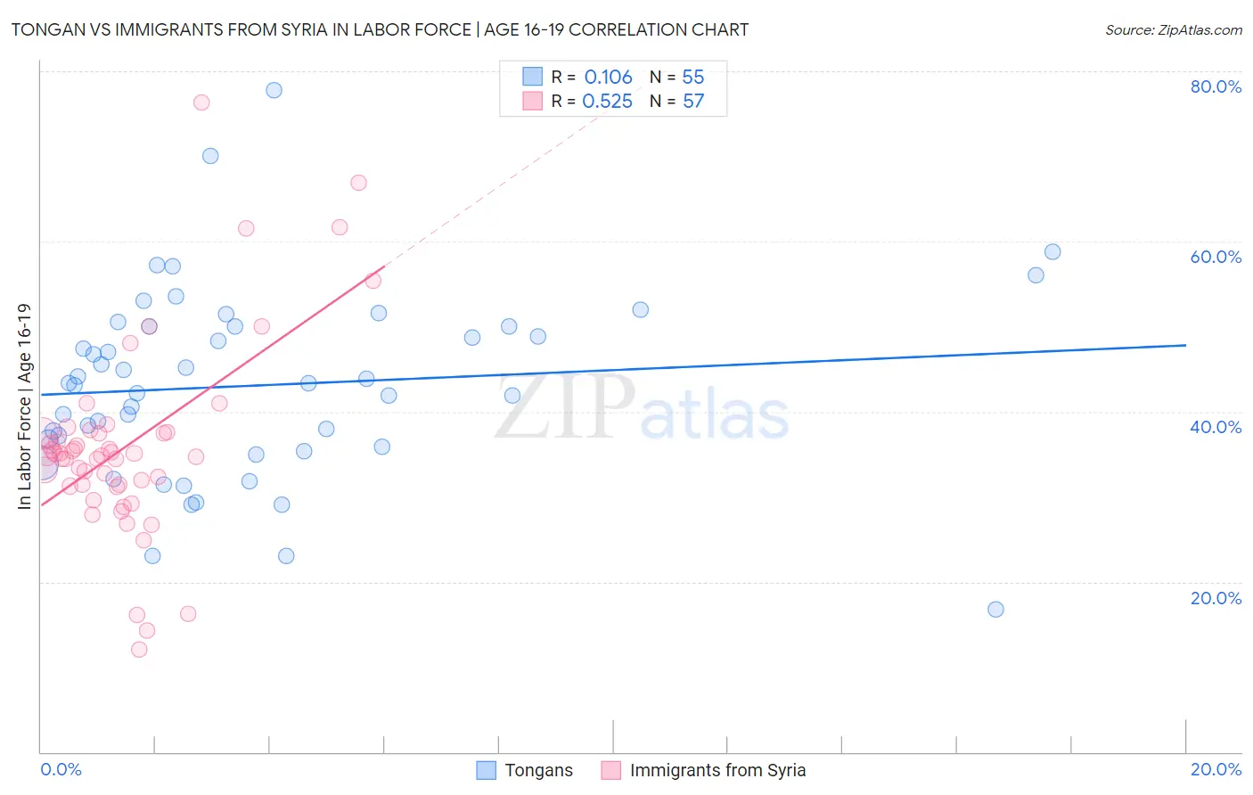 Tongan vs Immigrants from Syria In Labor Force | Age 16-19