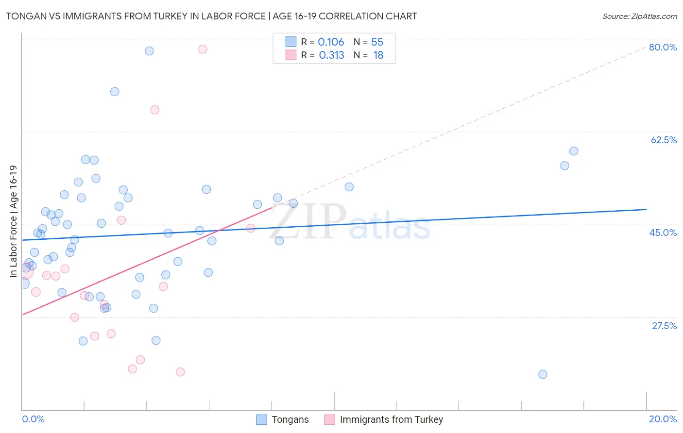 Tongan vs Immigrants from Turkey In Labor Force | Age 16-19