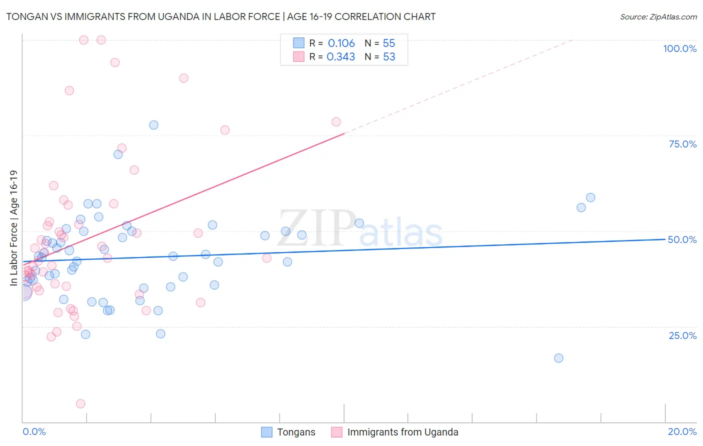 Tongan vs Immigrants from Uganda In Labor Force | Age 16-19