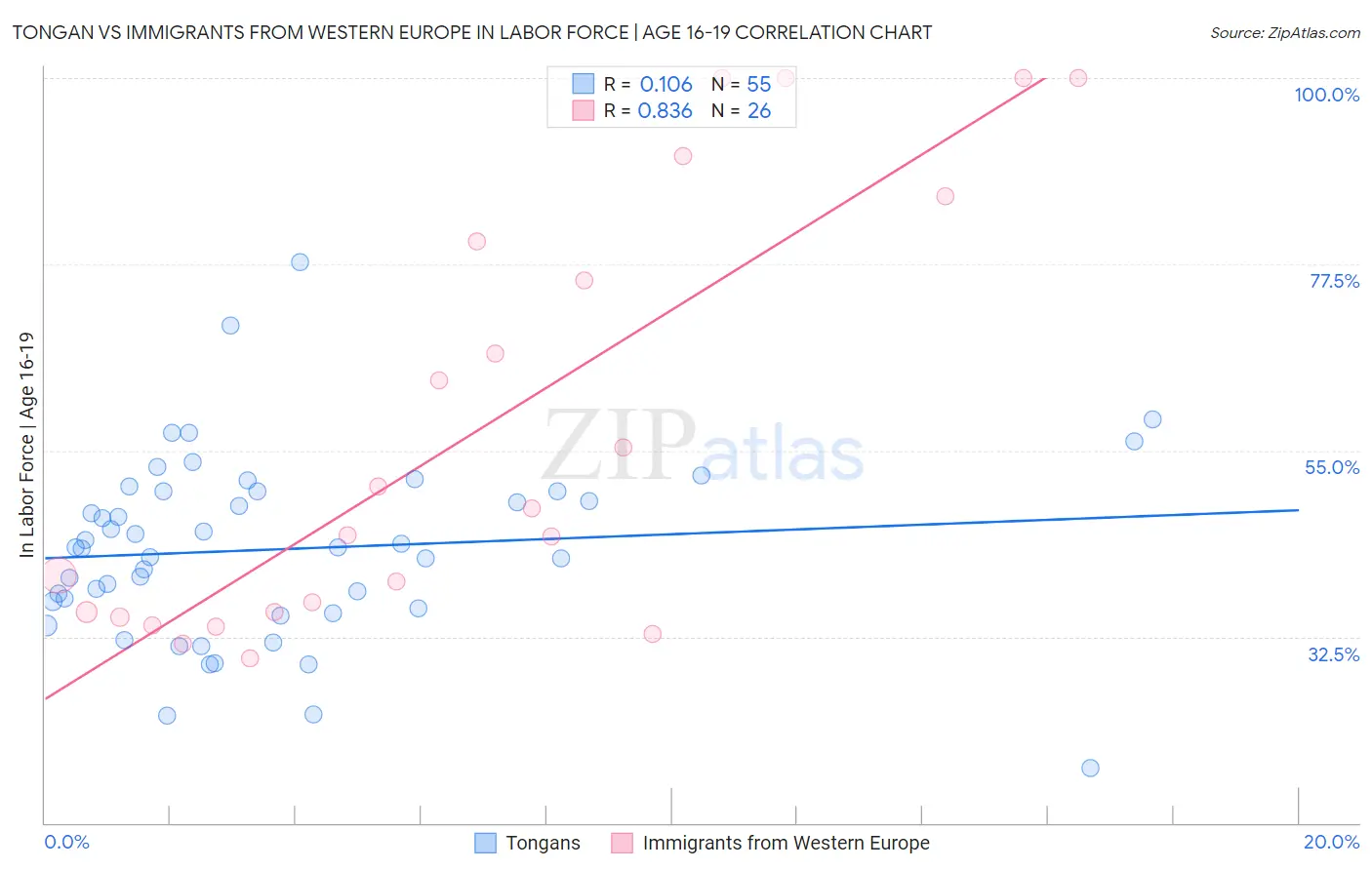 Tongan vs Immigrants from Western Europe In Labor Force | Age 16-19