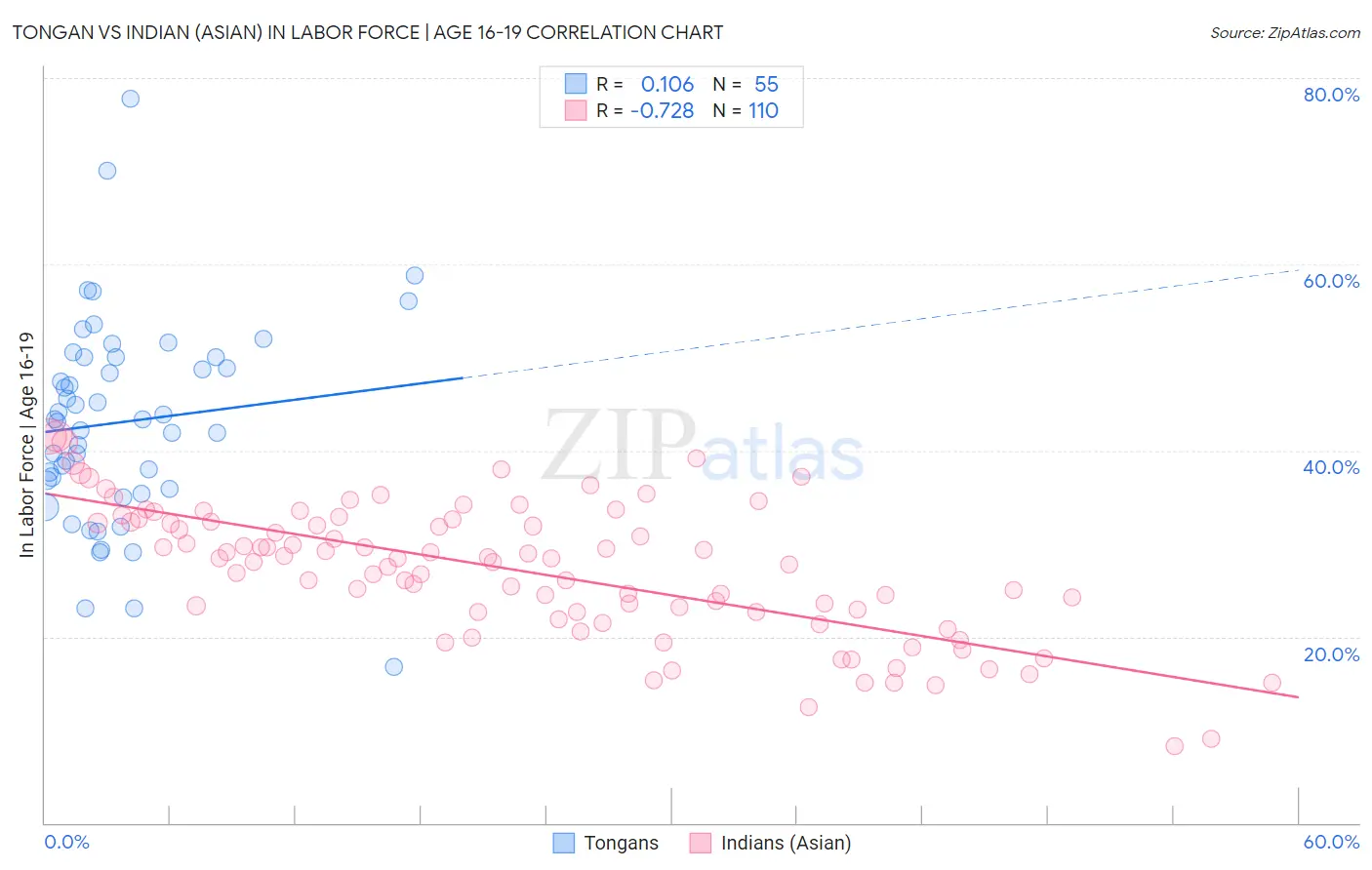 Tongan vs Indian (Asian) In Labor Force | Age 16-19