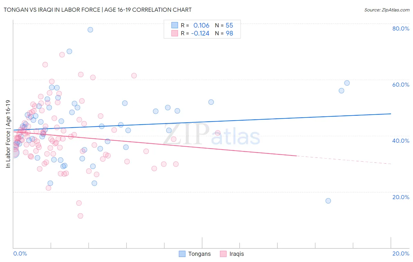 Tongan vs Iraqi In Labor Force | Age 16-19