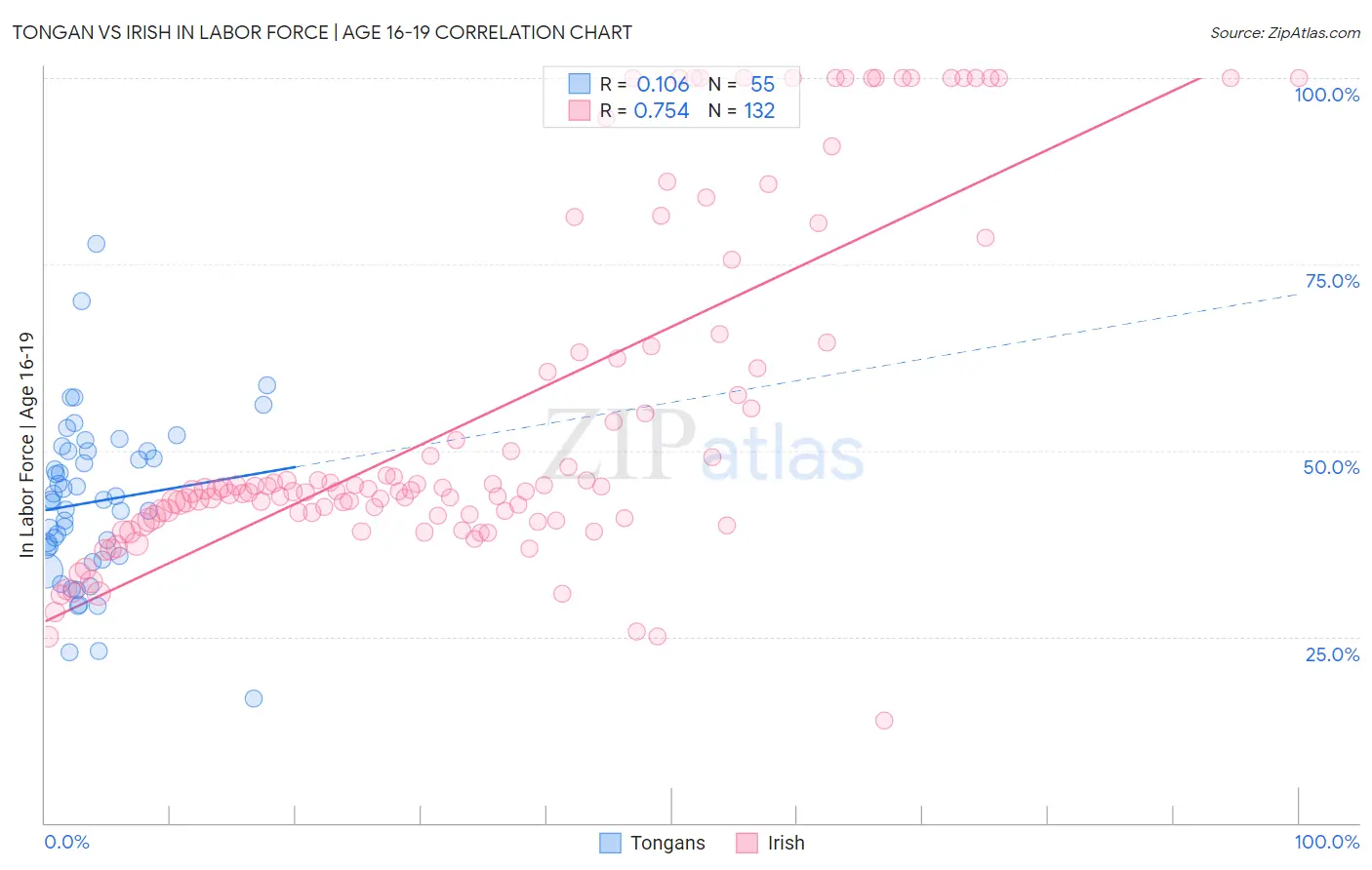 Tongan vs Irish In Labor Force | Age 16-19