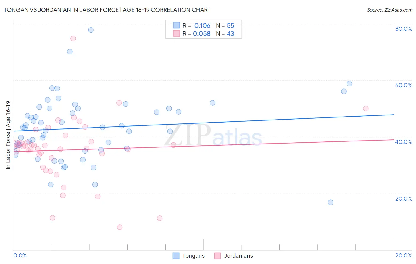 Tongan vs Jordanian In Labor Force | Age 16-19