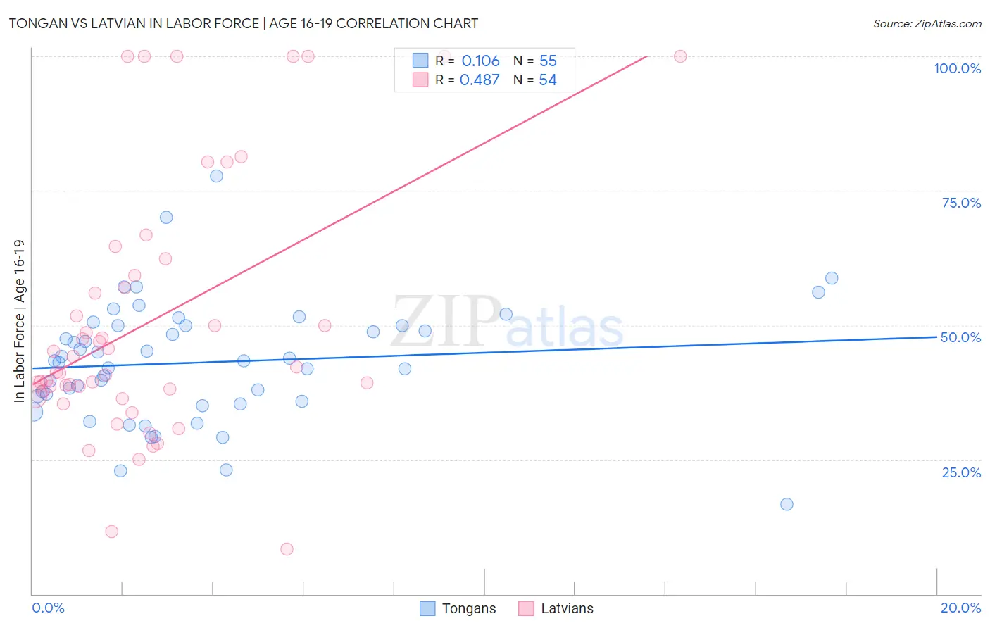 Tongan vs Latvian In Labor Force | Age 16-19
