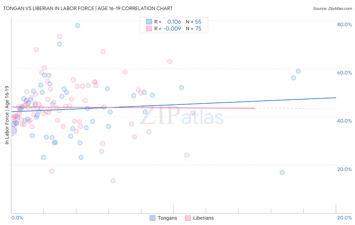 Tongan vs Liberian In Labor Force | Age 16-19