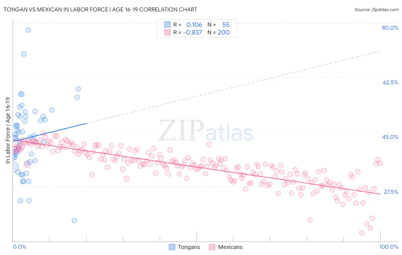 Tongan vs Mexican In Labor Force | Age 16-19