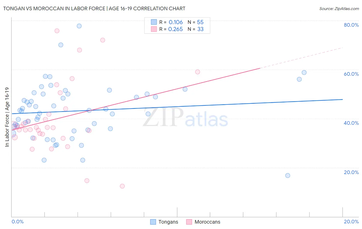 Tongan vs Moroccan In Labor Force | Age 16-19