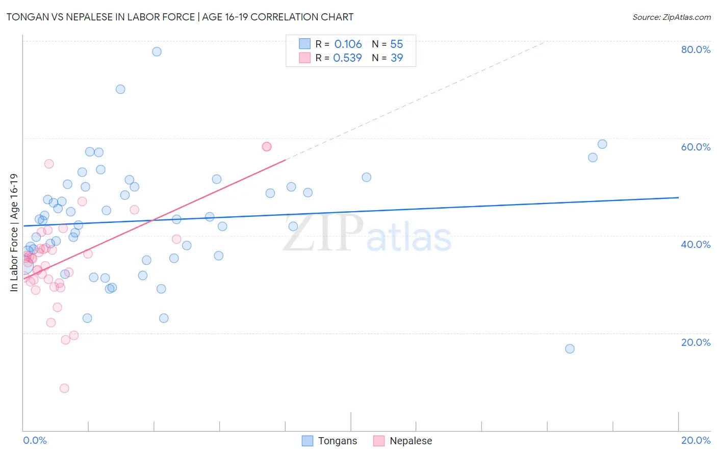 Tongan vs Nepalese In Labor Force | Age 16-19