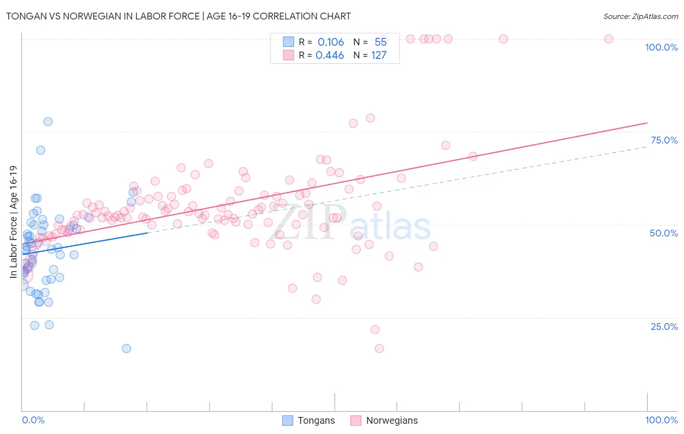 Tongan vs Norwegian In Labor Force | Age 16-19