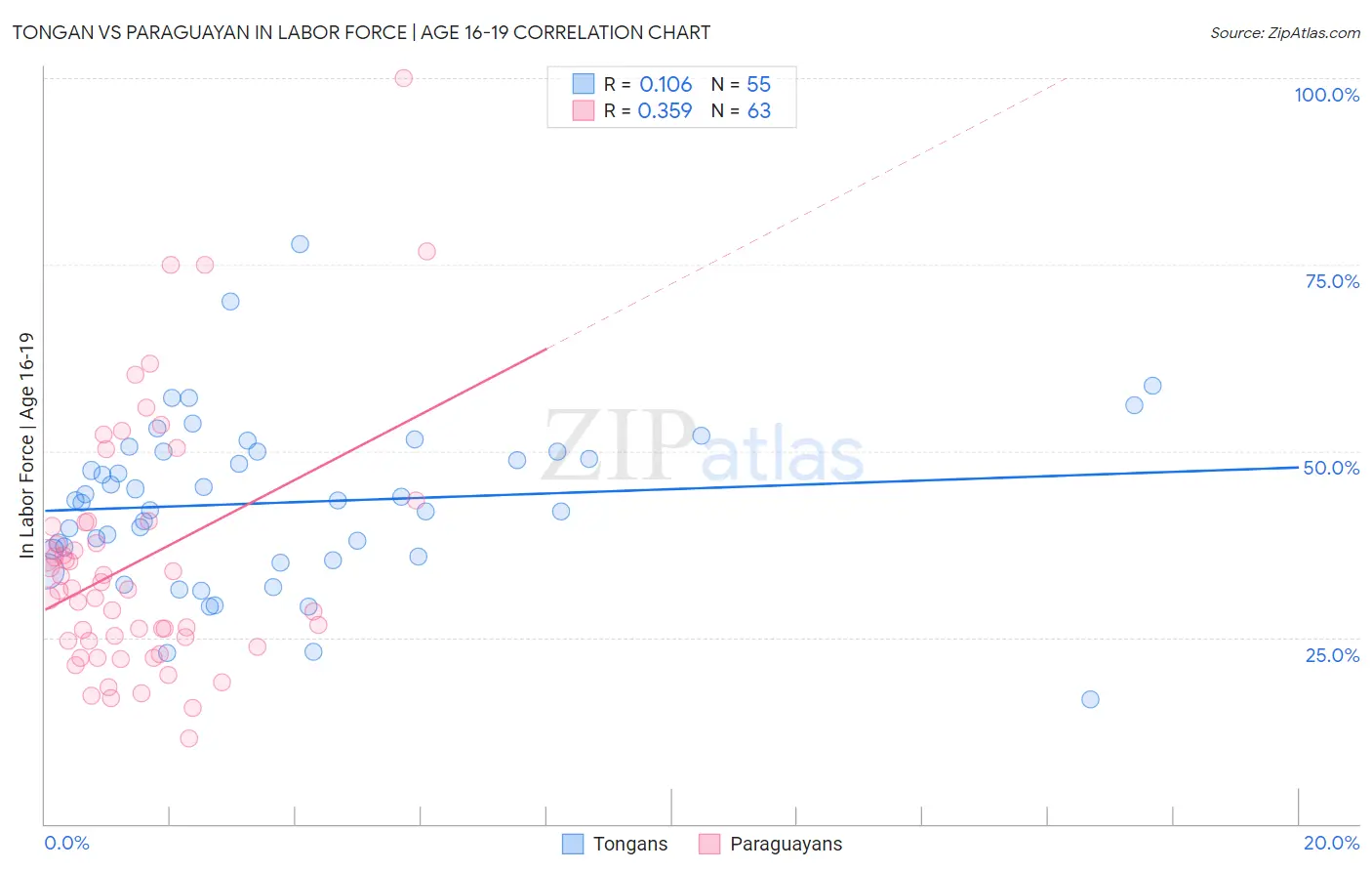 Tongan vs Paraguayan In Labor Force | Age 16-19