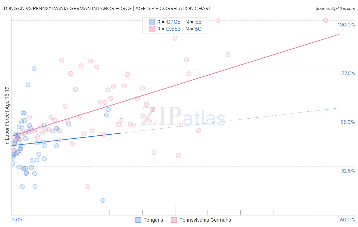 Tongan vs Pennsylvania German In Labor Force | Age 16-19