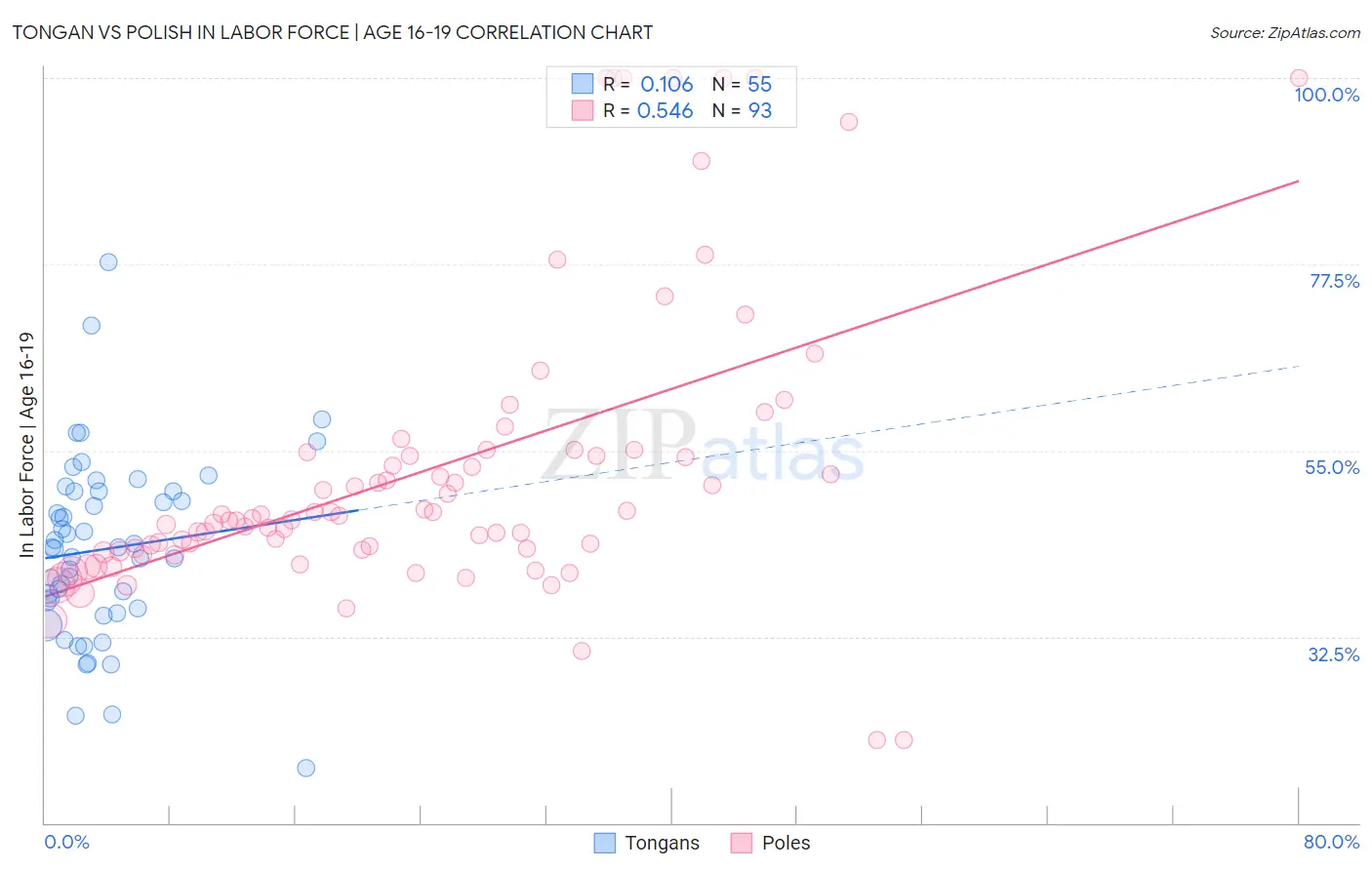 Tongan vs Polish In Labor Force | Age 16-19