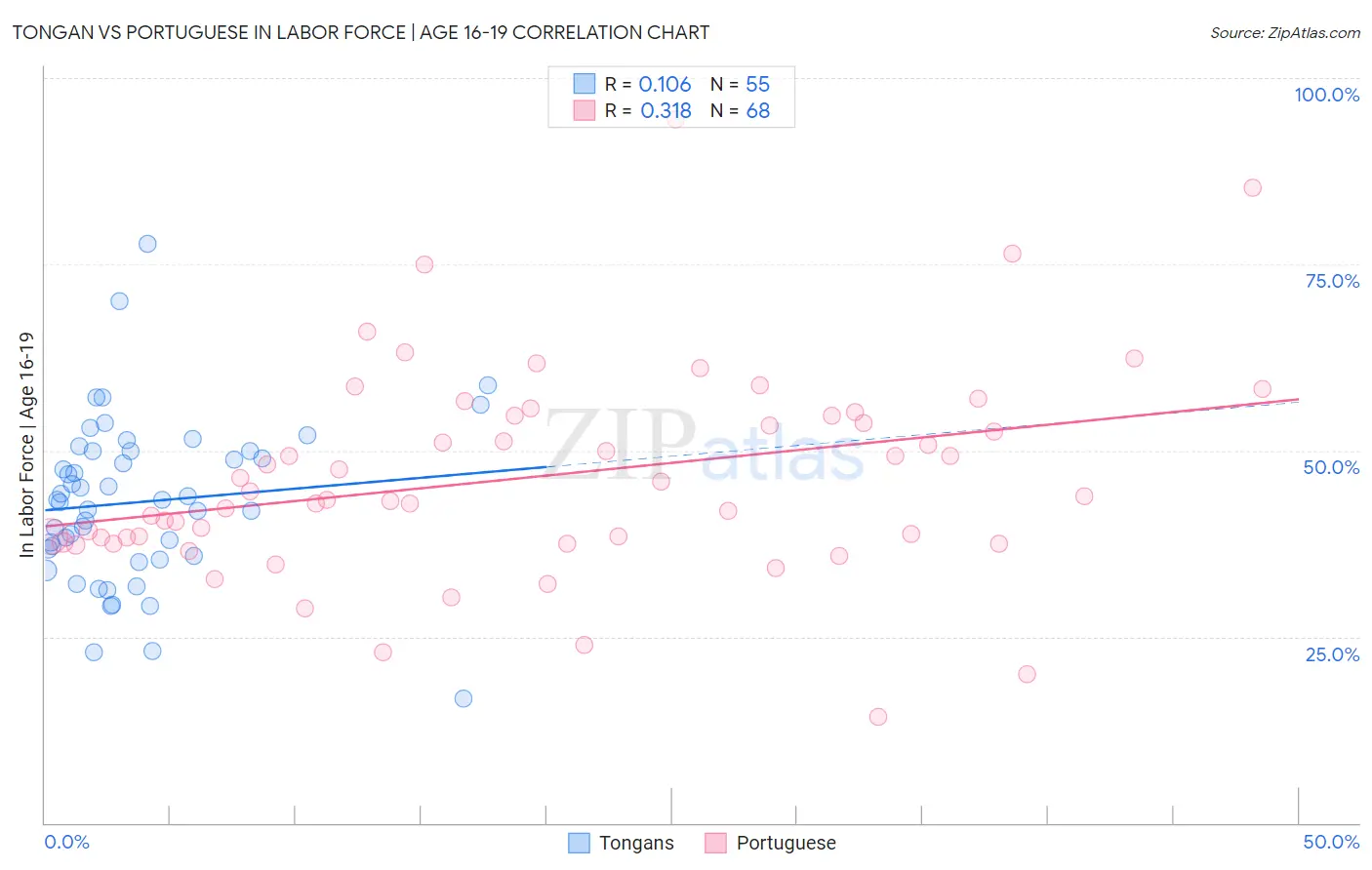 Tongan vs Portuguese In Labor Force | Age 16-19