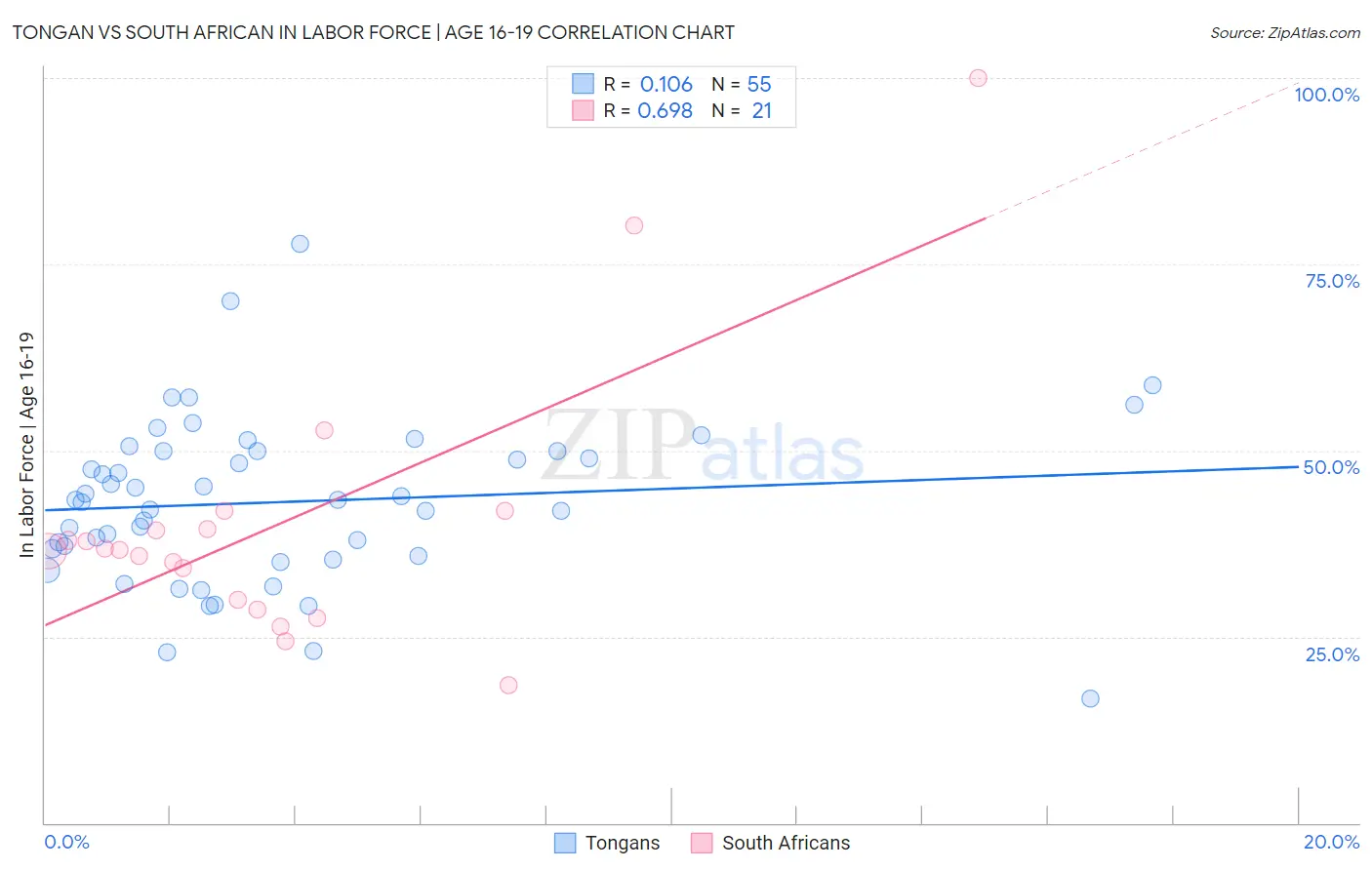 Tongan vs South African In Labor Force | Age 16-19