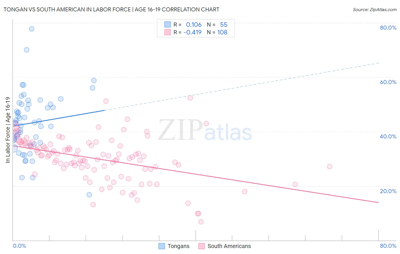 Tongan vs South American In Labor Force | Age 16-19