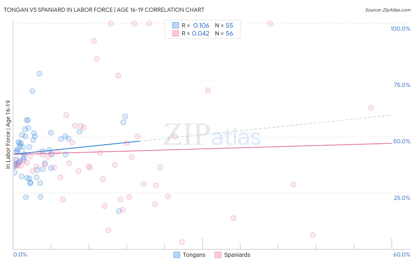 Tongan vs Spaniard In Labor Force | Age 16-19