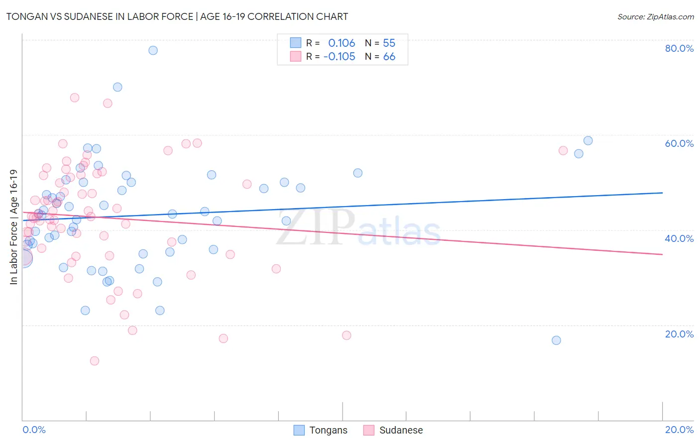 Tongan vs Sudanese In Labor Force | Age 16-19