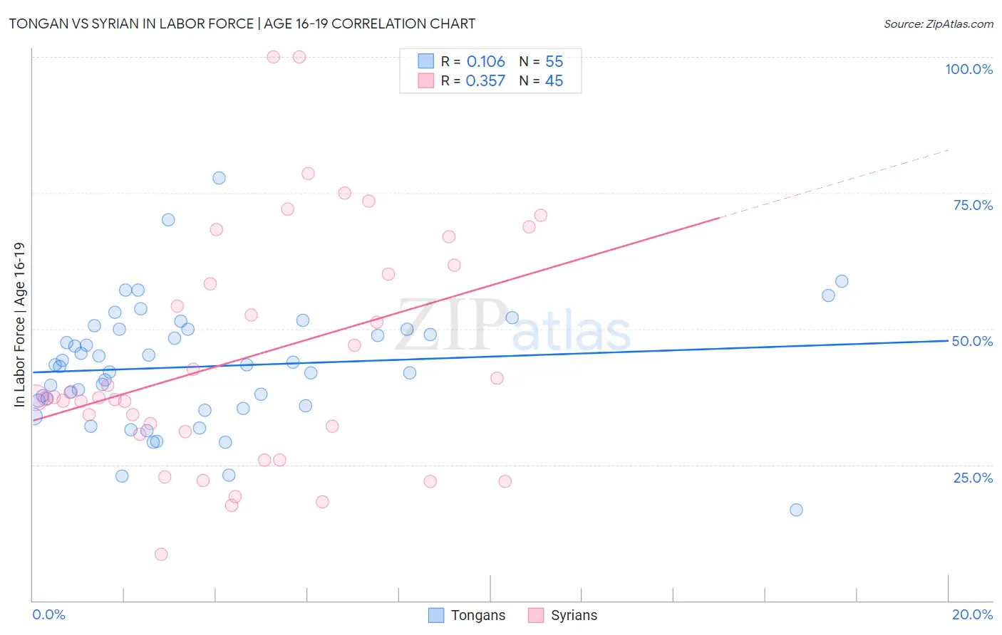 Tongan vs Syrian In Labor Force | Age 16-19