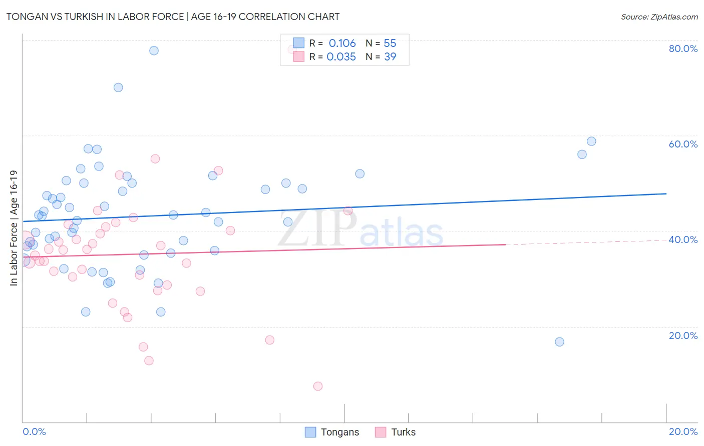 Tongan vs Turkish In Labor Force | Age 16-19