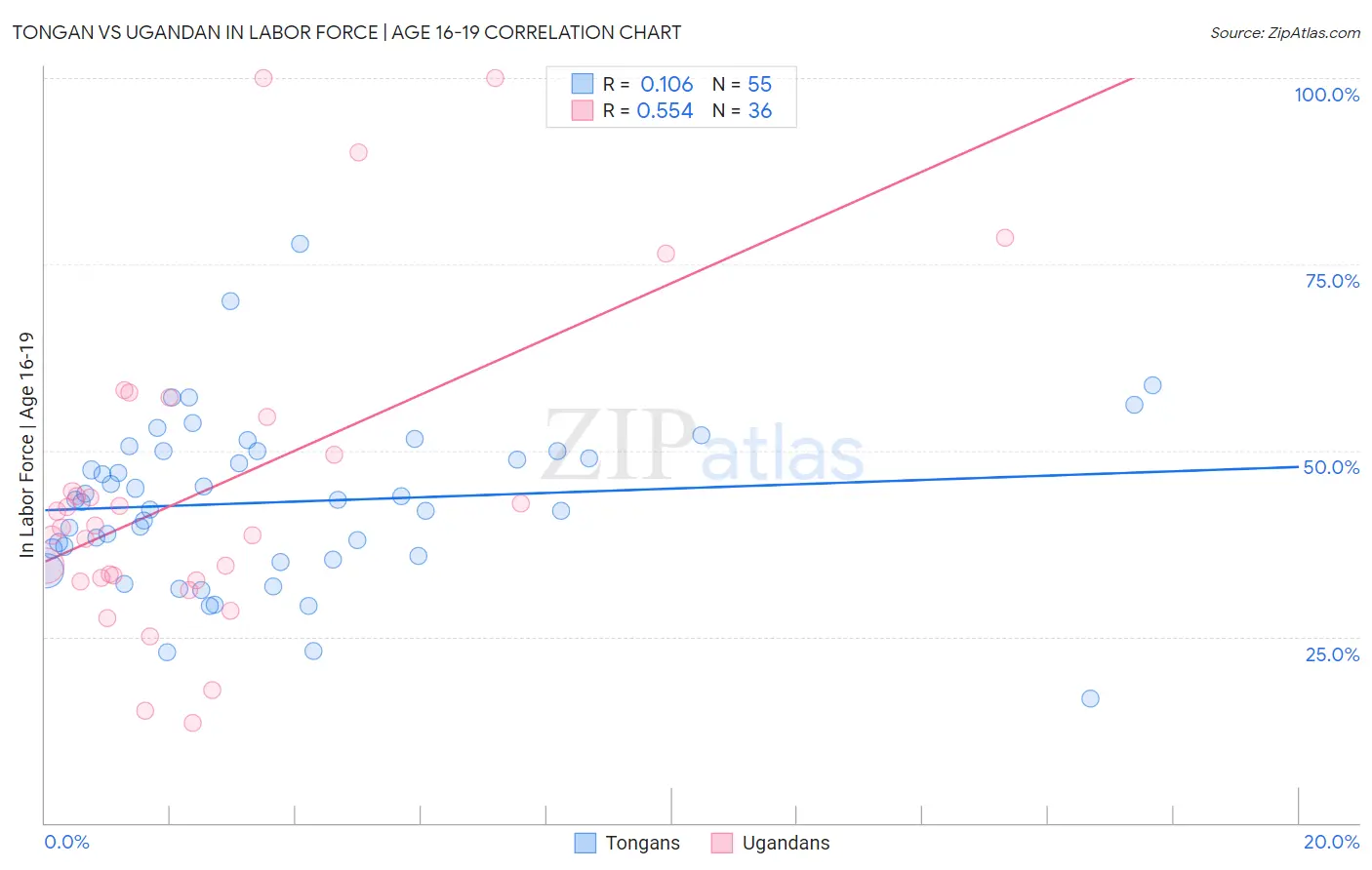 Tongan vs Ugandan In Labor Force | Age 16-19