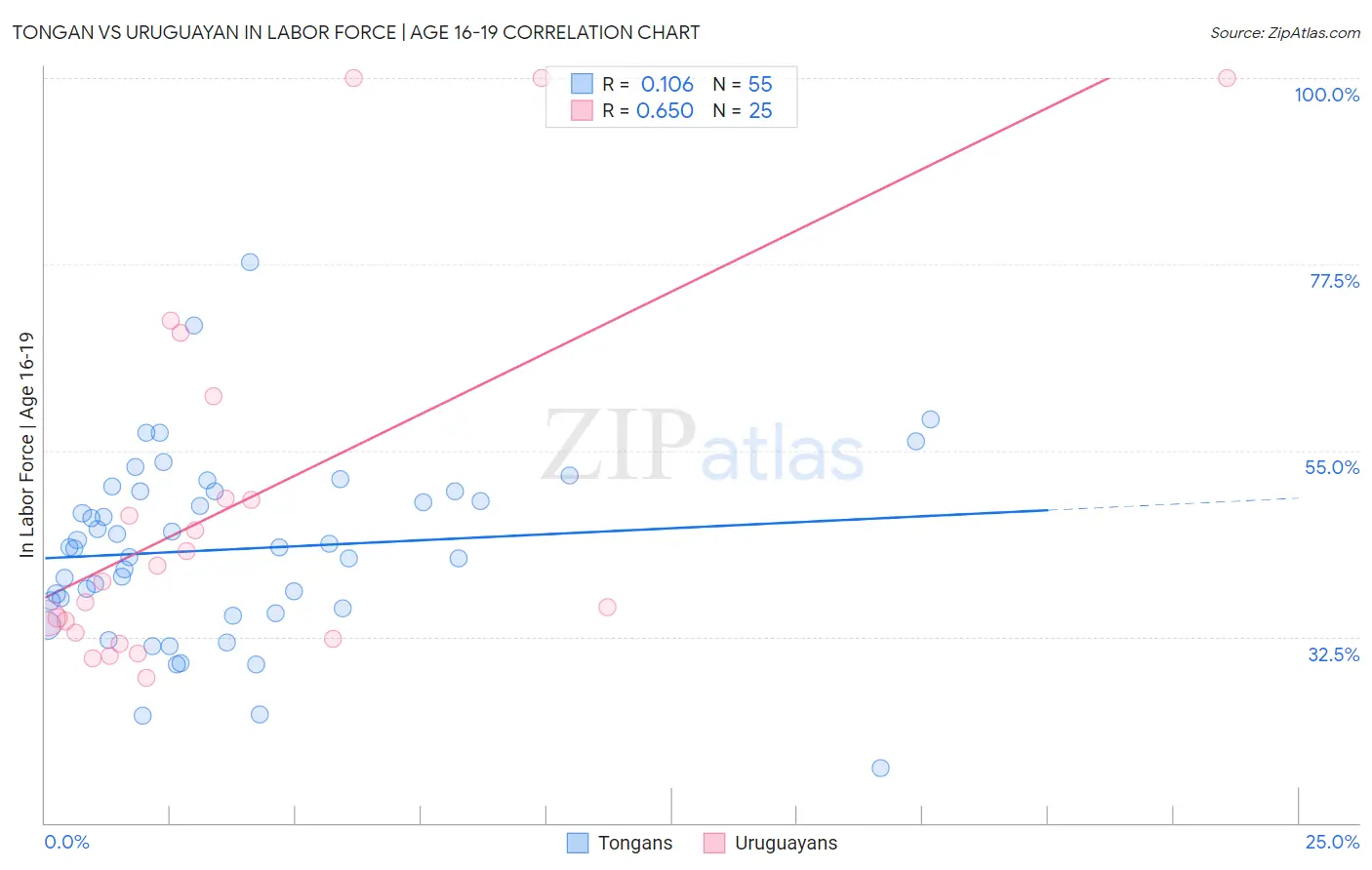 Tongan vs Uruguayan In Labor Force | Age 16-19