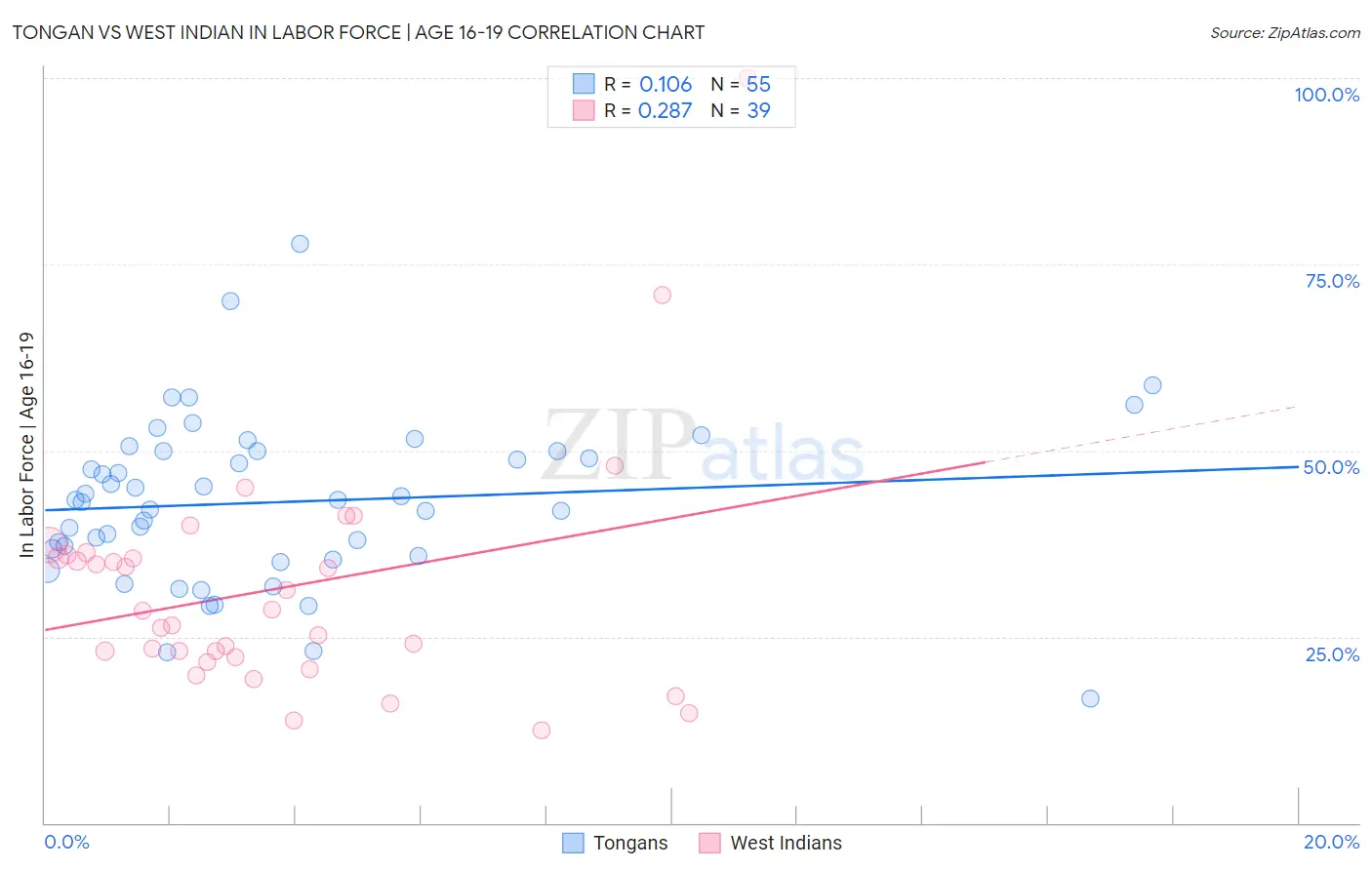 Tongan vs West Indian In Labor Force | Age 16-19